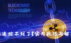 数字钱包转账追踪不到了？实用技巧与解决方案