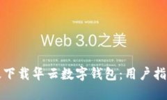 如何高效下载华云数字钱包：用户指南与提醒