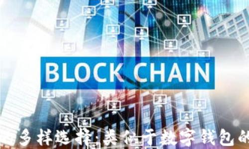 
探寻数字钱包的多样选择：类似于数字钱包的创新支付方式