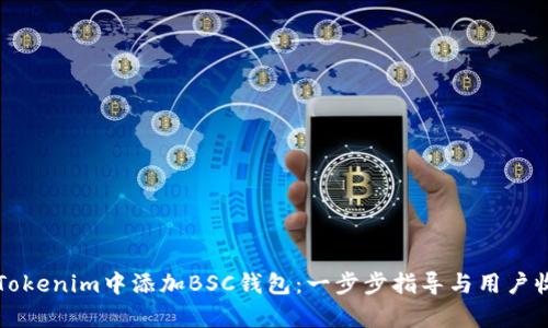 如何在Tokenim中添加BSC钱包：一步步指导与用户收益分析