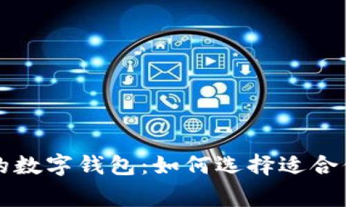 美国人常用的数字钱包：如何选择适合你的支付工具