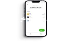   保护你的数字资产：应对Tokenim冷钱包被盗的解
