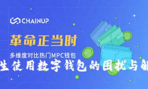 盒马鲜生使用数字钱包的困扰与解决方案