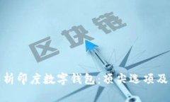 全面解析印度数字钱包：顶尖选项及其优势
