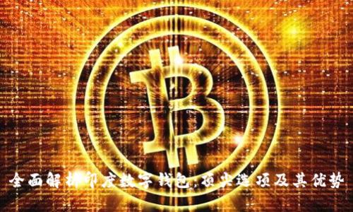 全面解析印度数字钱包：顶尖选项及其优势