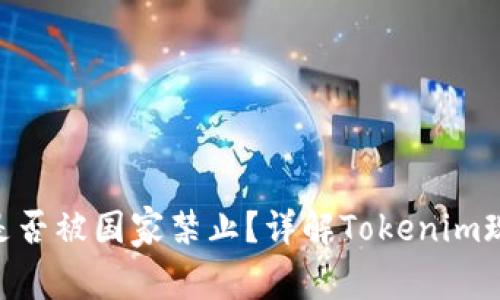 Tokenim是否被国家禁止？详解Tokenim现状与未来