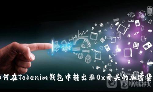 如何在Tokenim钱包中转出非0x开头的加密货币