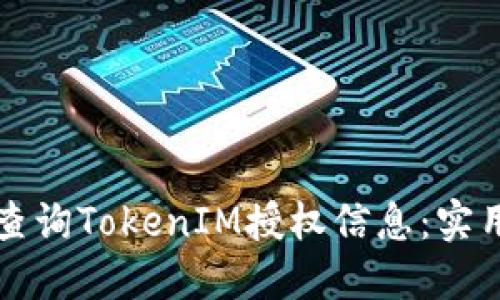 如何查询TokenIM授权信息：实用指南