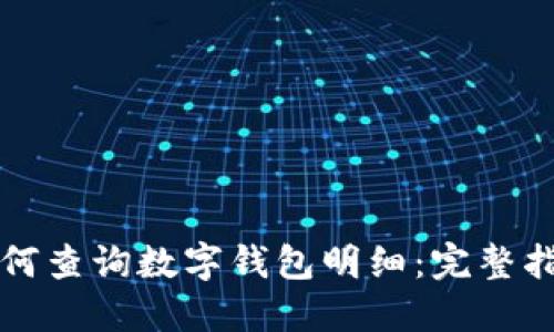 如何查询数字钱包明细：完整指南