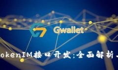 如何进行TokenIM接口开发：全面解析与实践指南