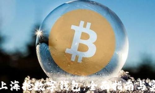 
如何在上海抢数字钱包：全面指南与实用技巧