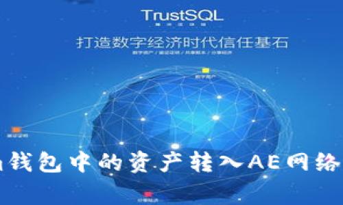 如何将TokenTokenim钱包中的资产转入AE网络？详细步骤与注意事项
