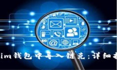 如何在TokenTokenim钱包中导入链克：详细指南与常