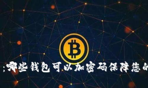 : 全面解析：哪些钱包可以加密码保障您的财富安全？