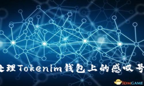 如何处理Tokenim钱包上的感叹号提示？