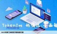 如何处理没有 TokenIm 的情况：全面解析与应对策