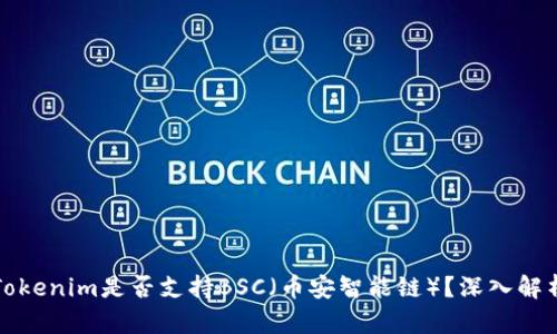 Tokenim是否支持BSC（币安智能链）？深入解析