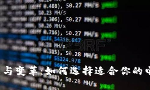  数字钱包的未来与变革：如何选择适合你的电子支付解决方案