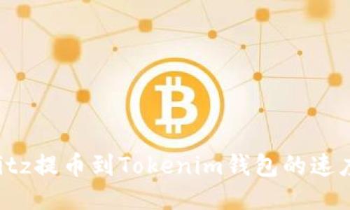 如何加快Bitz提币到Tokenim钱包的速度：全面指南