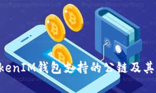 TokenTokenIM钱包支持的公链及其功能解析