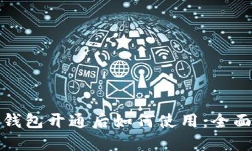 数字钱包开通后如何使用：全面指南