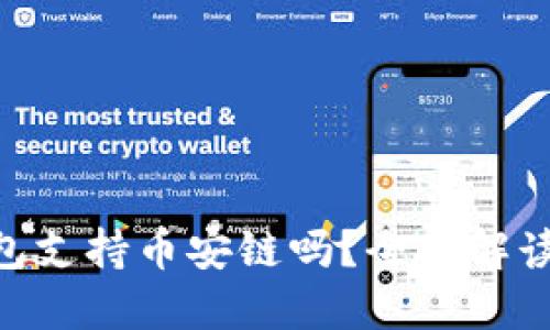 Tokenim钱包支持币安链吗？全面解读与使用指南