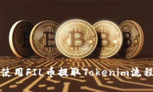 如何使用FIL币提取Tokenim流程详解