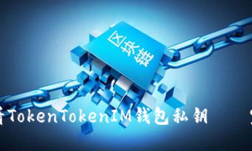 如何查看TokenTokenIM钱包私钥——完整指南