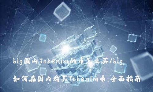 big国内Tokenim的币怎么买/big

如何在国内购买Tokenim币：全面指南