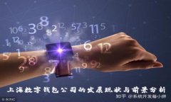 上海数字钱包公司的发展现状与前景分析