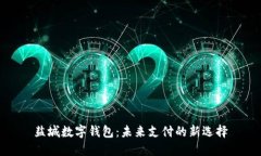 盐城数字钱包：未来支付的新选择