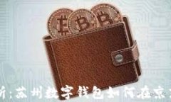 全面解析：苏州数字钱包如何在京东上使用