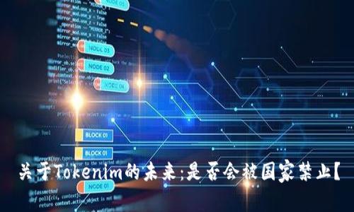 关于Tokenim的未来：是否会被国家禁止？