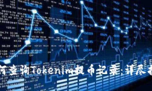 如何查询Tokenim提币记录：详尽指南