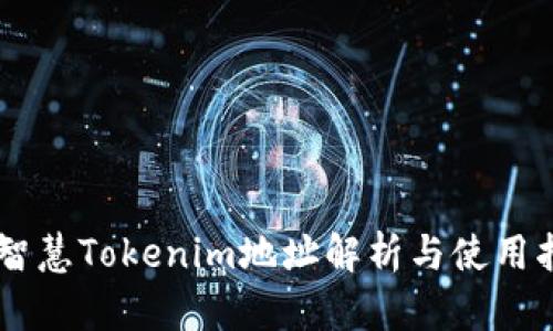 币智慧Tokenim地址解析与使用指南