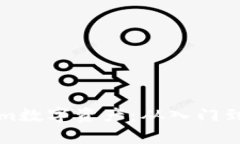 深入探索Tokenim数字资产：从入门到精通的全面教