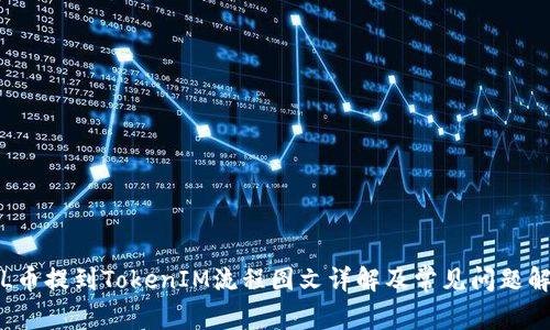 FIL币提到TokenIM流程图文详解及常见问题解答