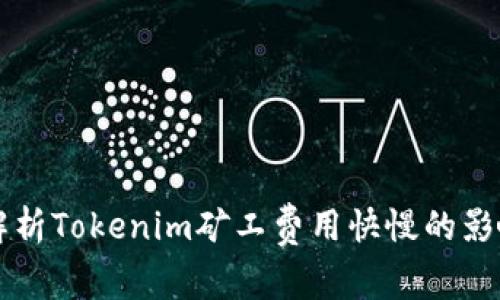 深入解析Tokenim矿工费用快慢的影响因素