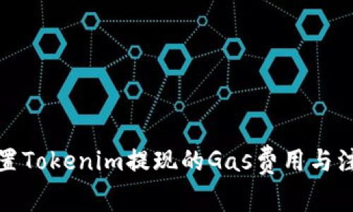 如何设置Tokenim提现的Gas费用与注意事项